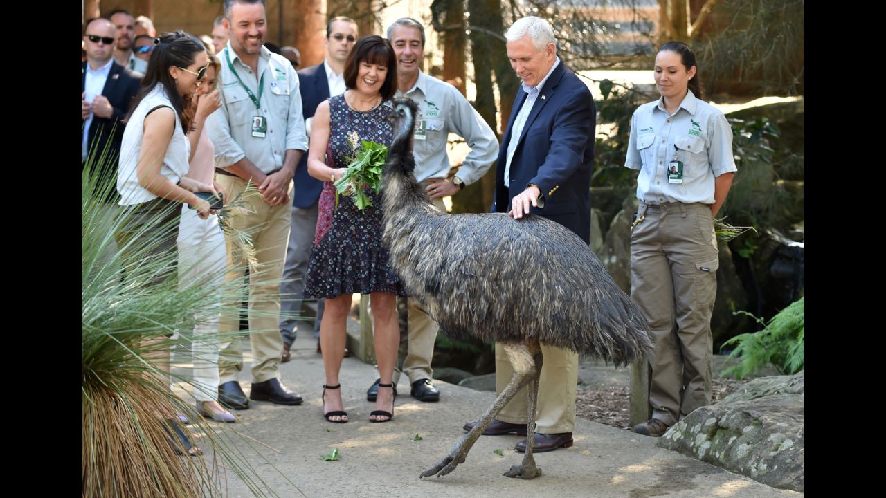 Vice President Mike Pence pets an emu as he and his family visit the Taronga Zoo in Sydney on Sunday, April 23. Pence was on the last part of a four-country trip.