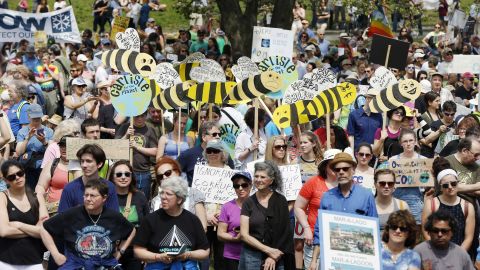 People take part in Boston's climate rally.