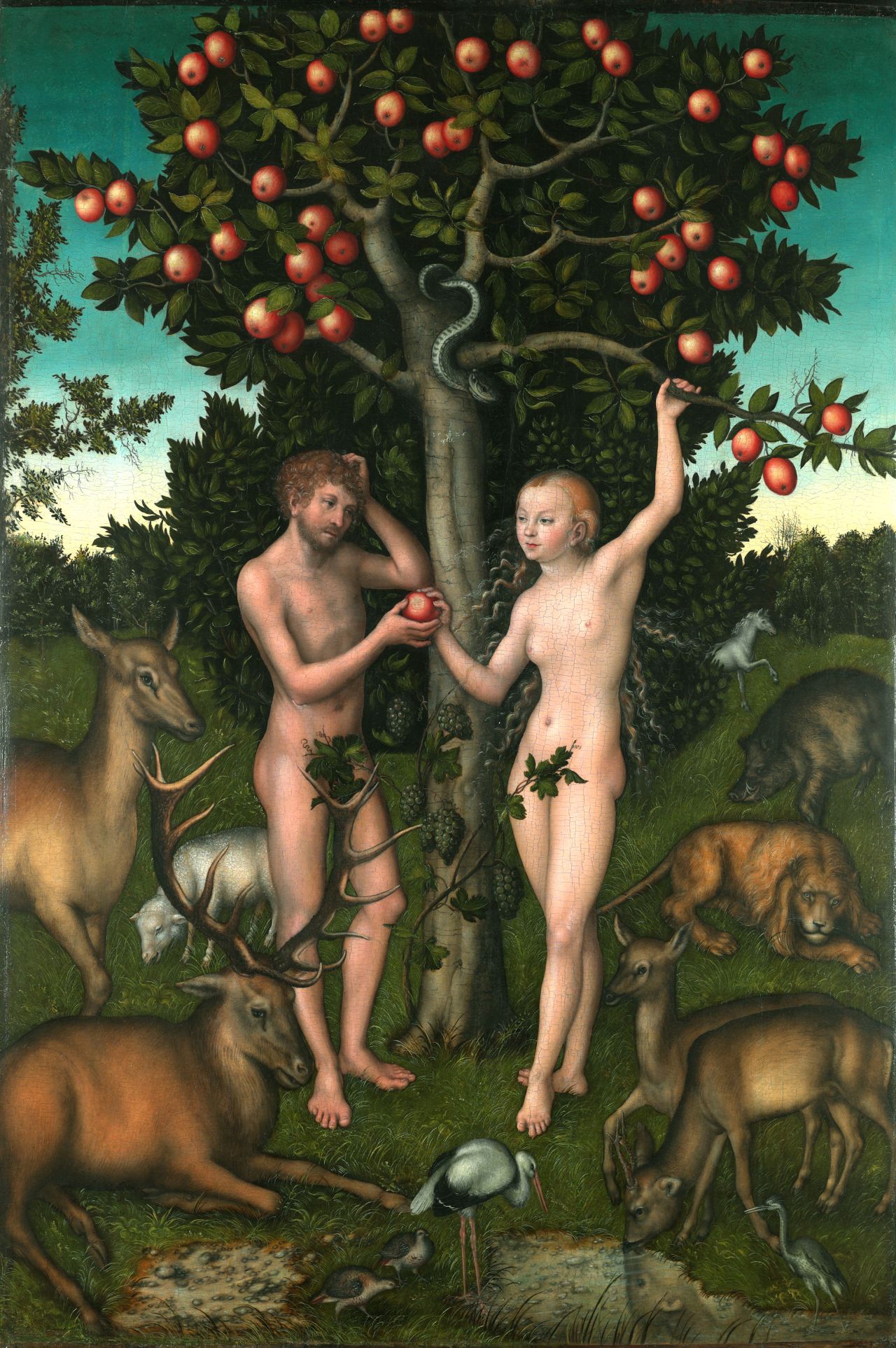 Adam and Eve, by Lucas Cranach the Elder. Courtesy The Samuel Courtauld Trust.