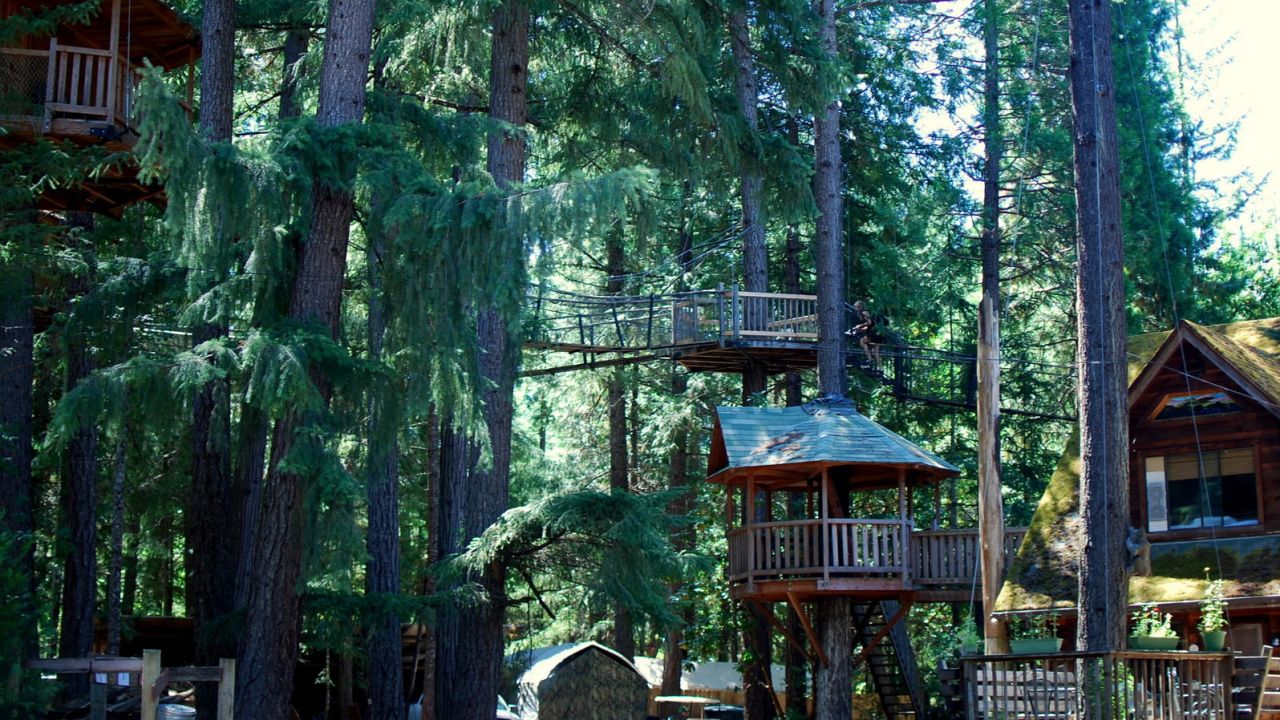 Live out all your childhood dreams at the Treesort in Oregon.