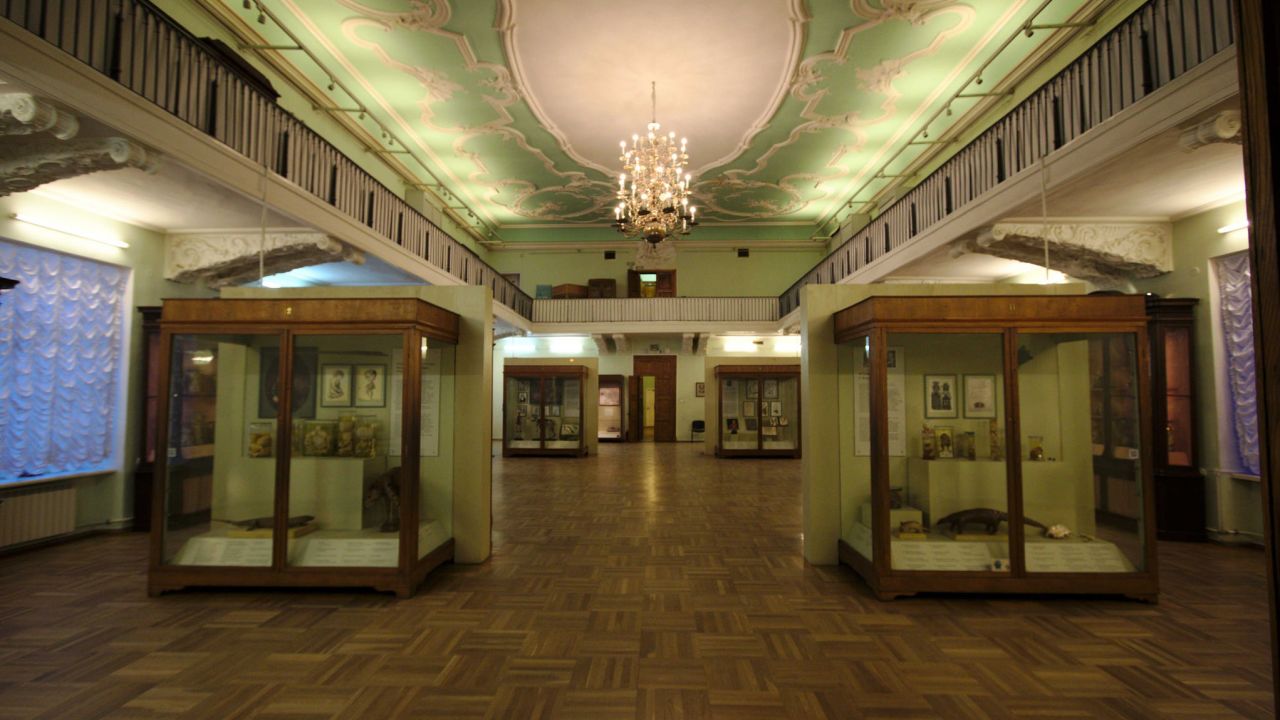 Russia's ecletic Kunstkamera museum dates back to 1727.