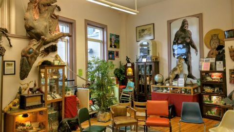 The world's weirdest museums, including the International Cryptozoology Museum, pictured here.