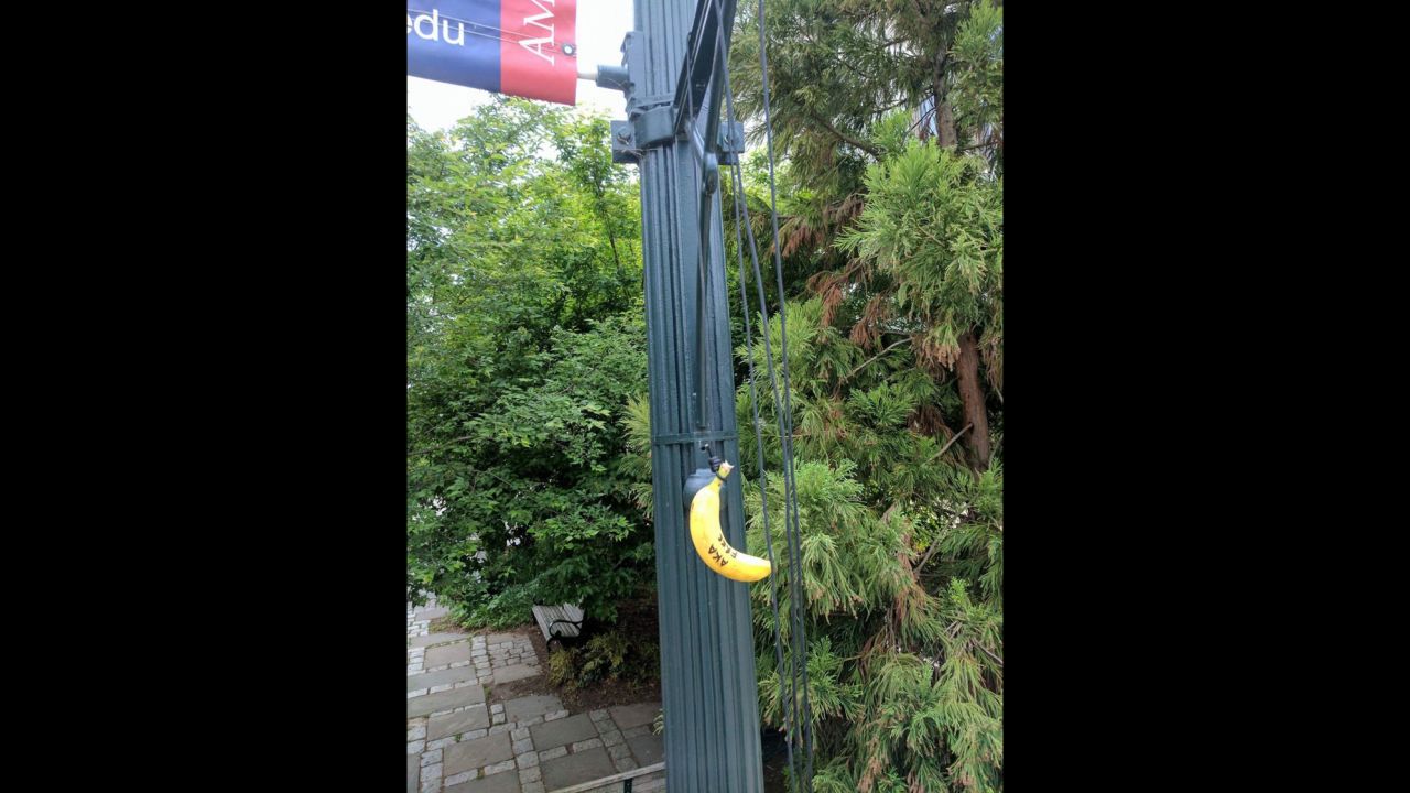 The bananas carried messages, such as "Harambe bait" and a reference to a black sorority. 