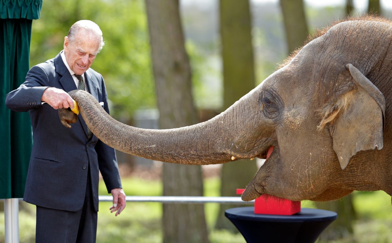 Prince Philip feeds a banana to an elephant in Dunstable, England, in April 2017.