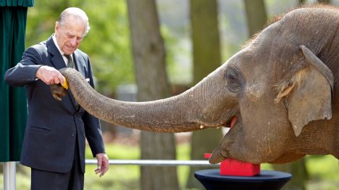Prince Philip feeds a banana to an elephant in Dunstable, England, in April 2017.