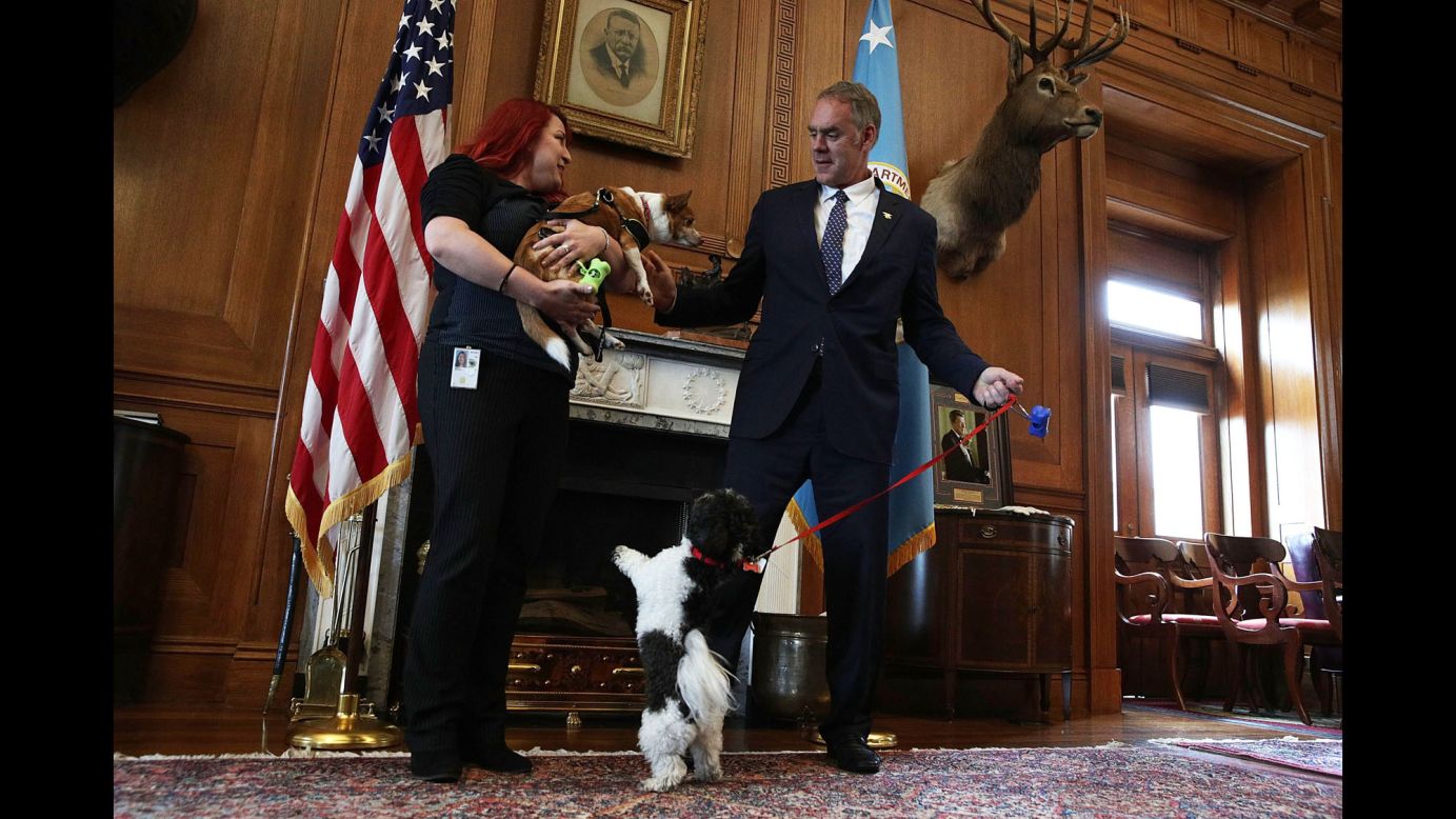 US Interior Secretary Ryan Zinke and his dog Ragnar greet an employee and her dog in Zinke's office on Friday, May 5. The Interior Department was holding its first "Take Your Dog to Work Day."