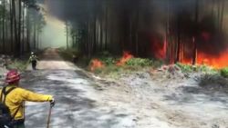 georgia wildfire