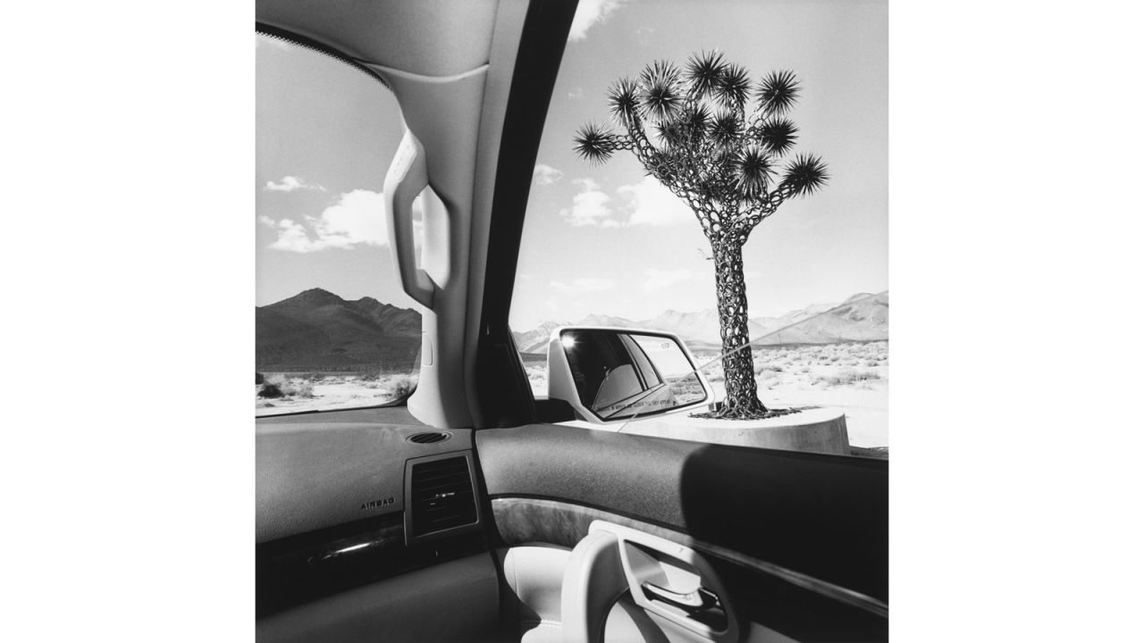 "When planning 'Autophoto,' we were not only interested in how the car provided a subject and new set of themes for photographers, but also in how it offered them a new way of exploring the world and a new means of expression. The photographs from <a href="https://fraenkelgallery.com/artists/lee-friedlander" target="_blank" target="_blank">Lee Freidlander</a>'s 'America by Car' series illustrate this idea perfectly. He took the photographs for this series on various road trips, over a 15-year period, looking to capture the eccentricities of the American roadside. In these photographs, the different elements inside of the car, for example the steering wheel, rear-view mirrors and windows, provide the photographer with a variety of compositional devices, allowing him to create a humorous view of America's distinctive visual landscape." 
