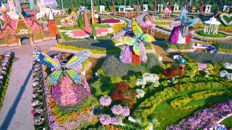 DUBAI MIRACLE GARDEN: All You Need to Know BEFORE You Go (with Photos)