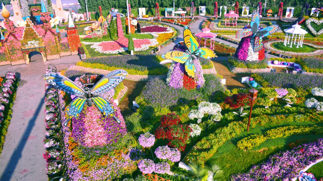Dubai Miracle Garden World's largest flower garden CNN