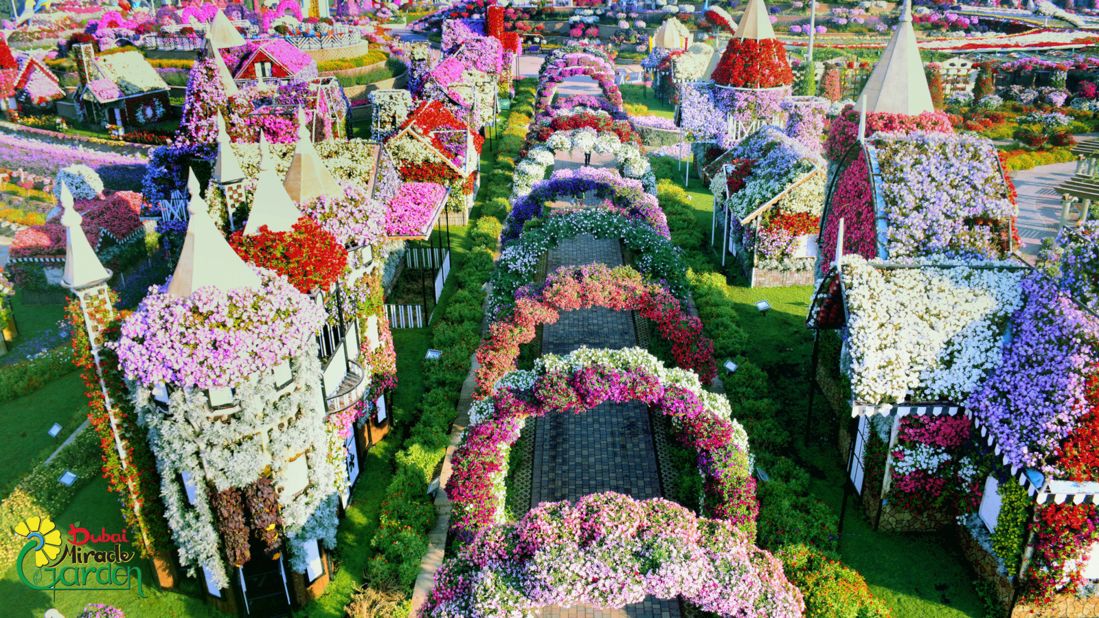 <strong>Desert miracle: </strong>Billing itself as the world's largest natural flower garden, the 72,000-square-meter attraction contains 65 million flowers.