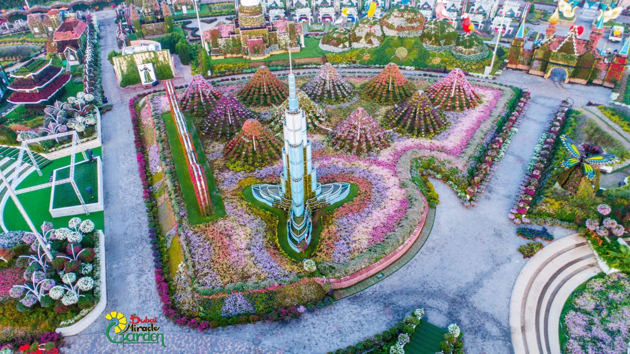 Dubai Miracle Garden: the world's largest natural flower garden | CNN