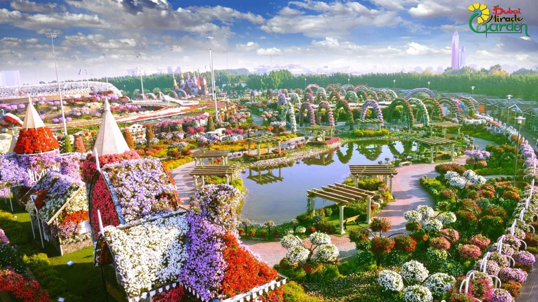 Dubai Miracle Garden World's largest flower garden CNN