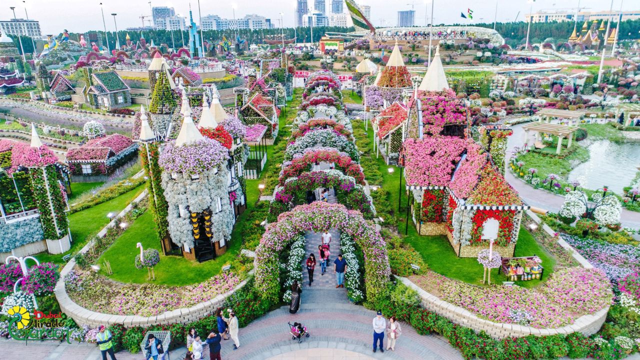 There are 60 different varieties of flowers on display at Dubai Miracle Garden.