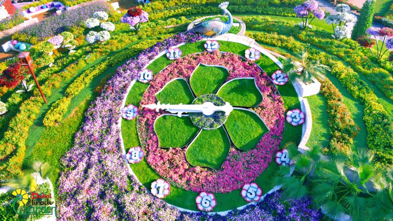 <strong>Man made:</strong> It took 60 days and 400 people to create the mega-garden.