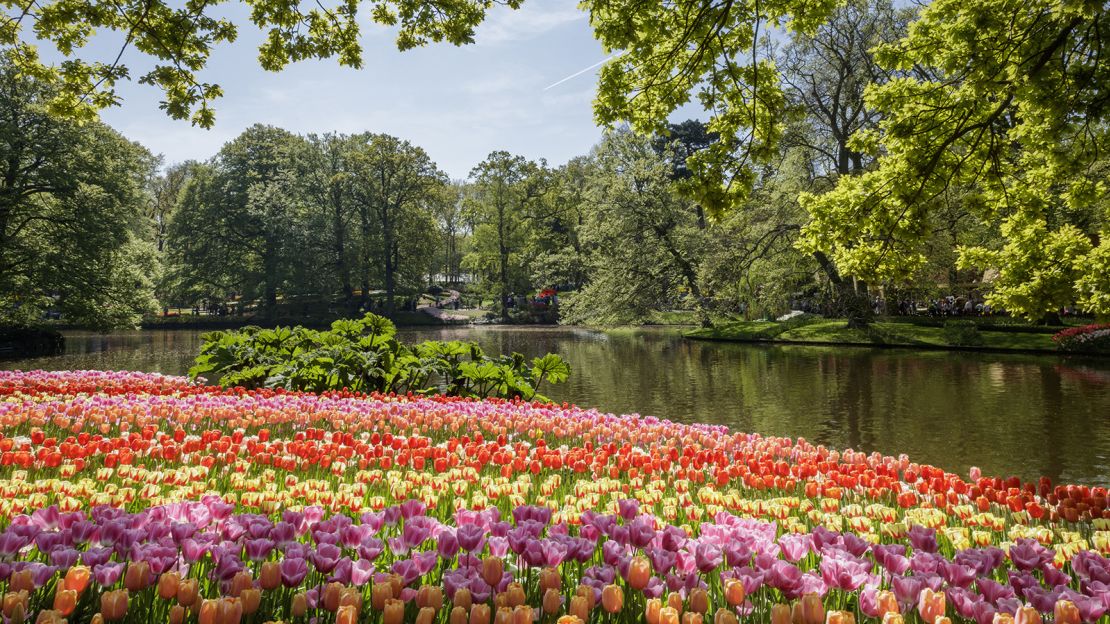 Keukenhof in Lisse is the best place to see Holland's spring colors.