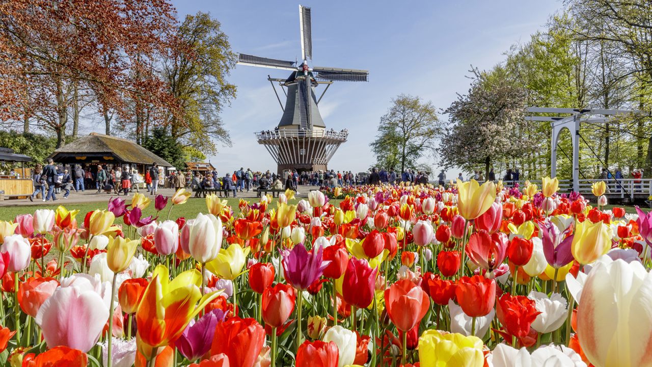 <strong>Keukenhof's tulip fields, Lisse, Holland: </strong>Holland's tulips aren't the only flowers worth visiting, but they boast more variety and quantity than other blossoms. 