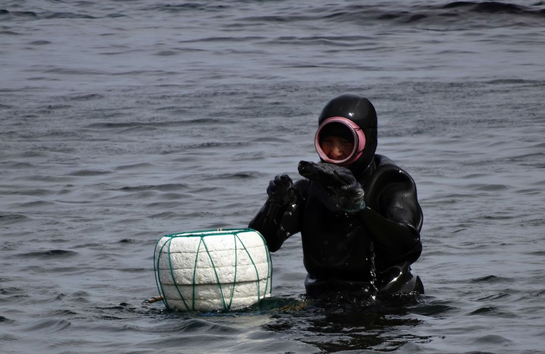 A modern-day mermaid in the water off Jeju.