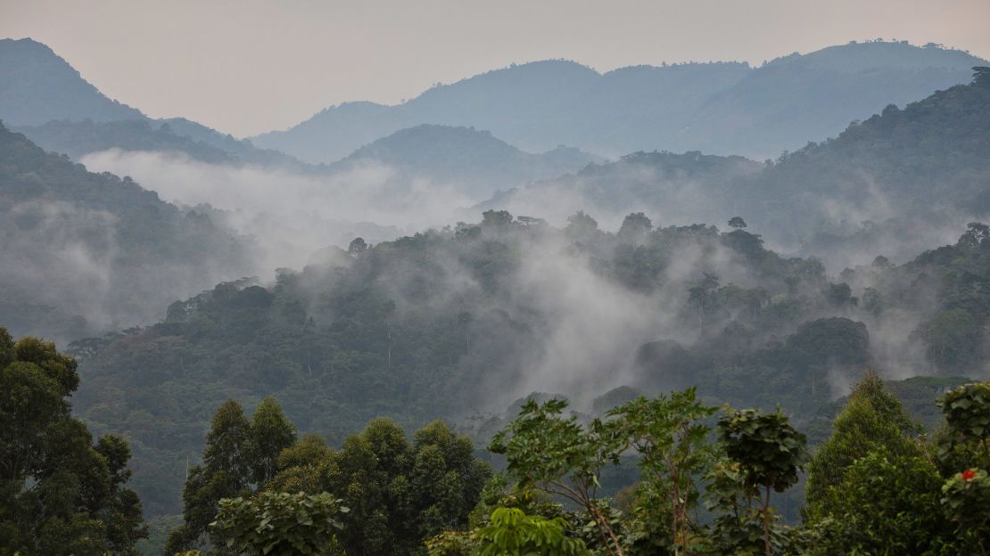 The morning valley mist wafts across the Bwindi Impenetrable National Park in southwestern Uganda. 