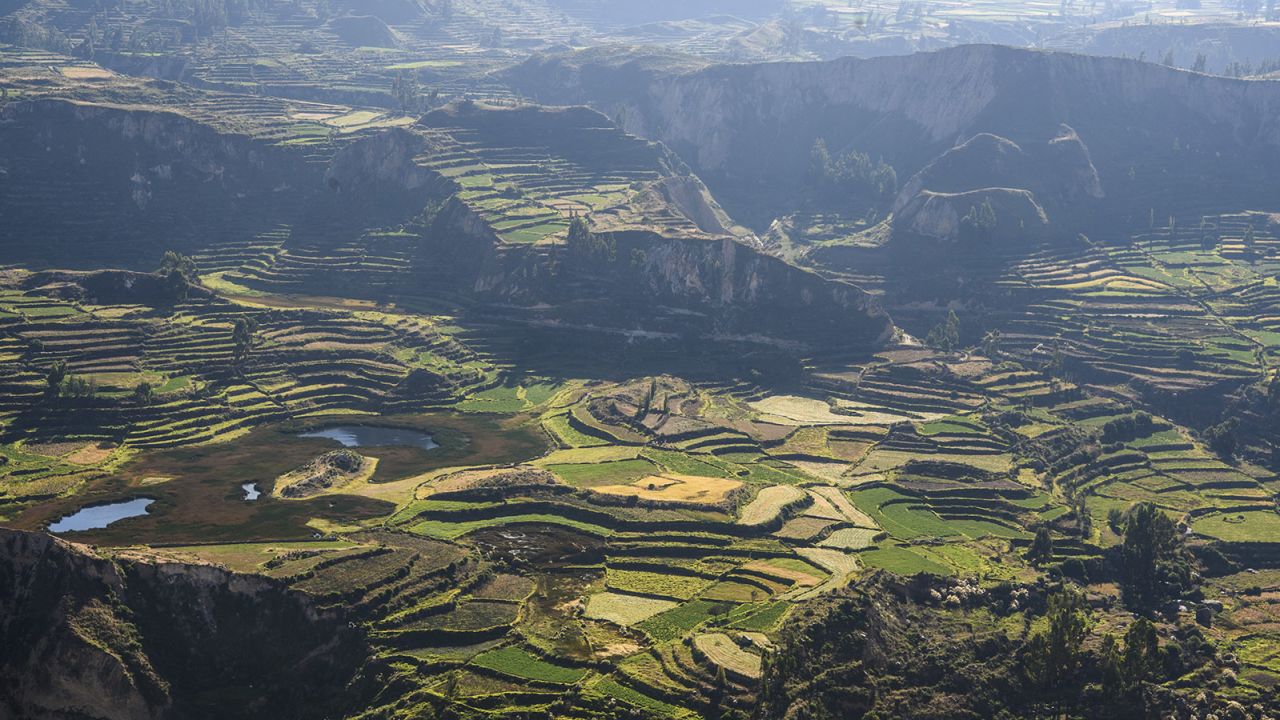 The Colca Valley: A 62-mile fissure of green mountain slopes stepped in terraces and ancient villages.