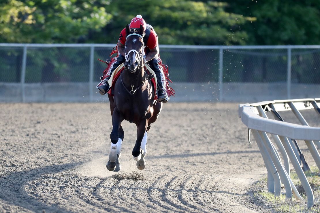 Classic Empire is one of the main challengers to Always Dreaming for the Preakness Stakes.