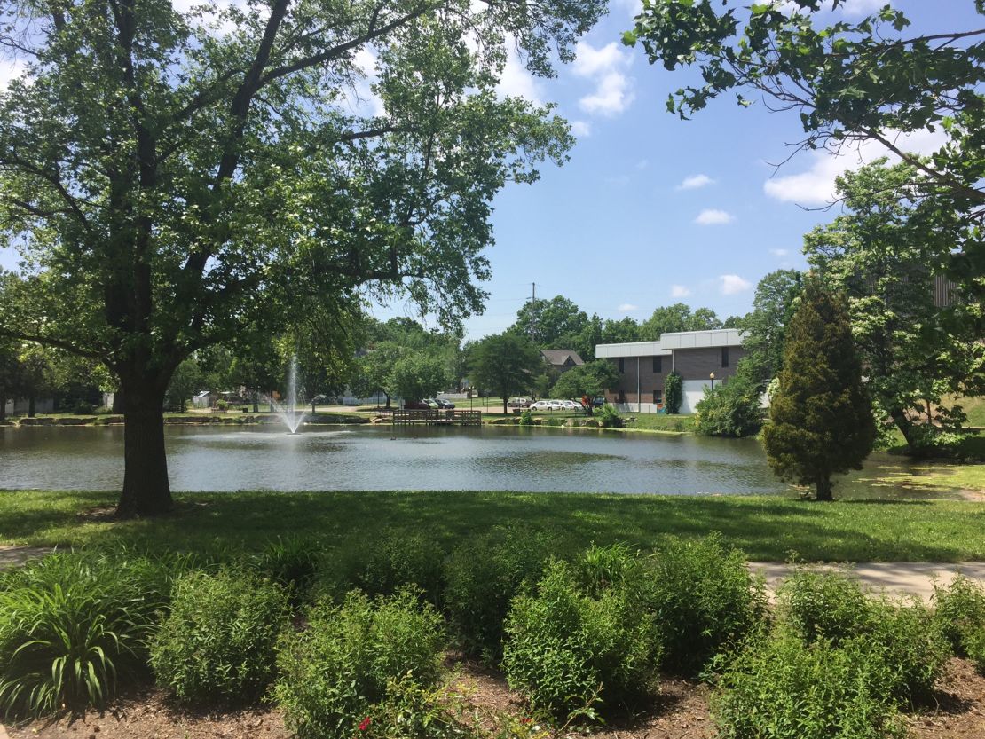 The pond where Elijah was rescued.