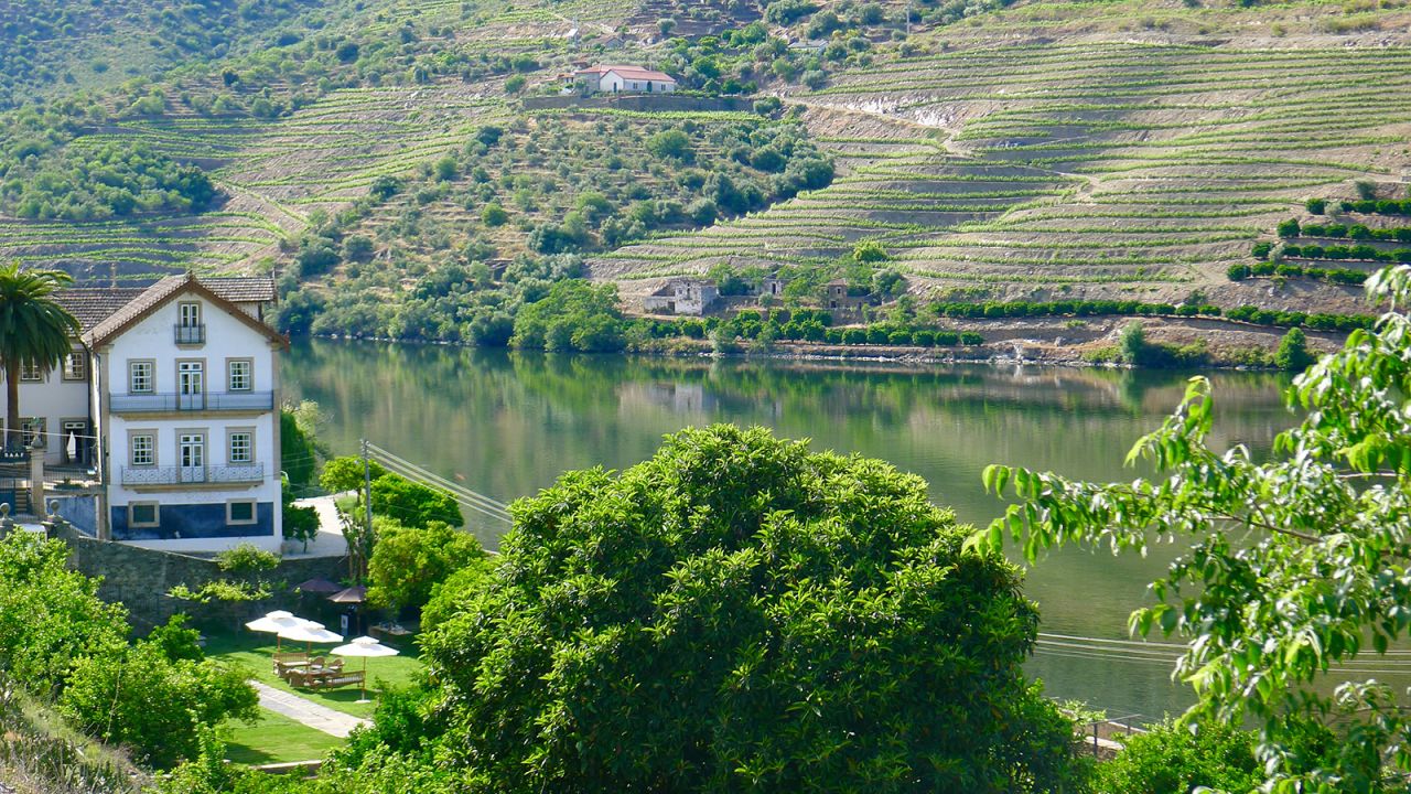 <strong>World-beating wine region: </strong>The Douro has been a protected wine region since the 18th century, producing the raw material for fortified ports and, increasingly, world-beating red and white table wines. 