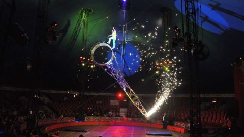 Ibarra on Pendulum of Steel