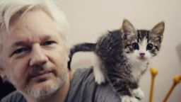 cnnee embassy cat assange embajada gato julian