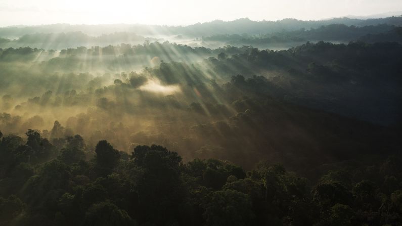 Corcovado is the crown jewel of Costa Rica's national park system, covering  nearly 42,000 hectares (162 square miles) of lowland rainforest. The largest of Costa Rica's parks, it occupies about one-third of the Osa Peninsula, and is home to a mind-blowing amount of flora and fauna. 