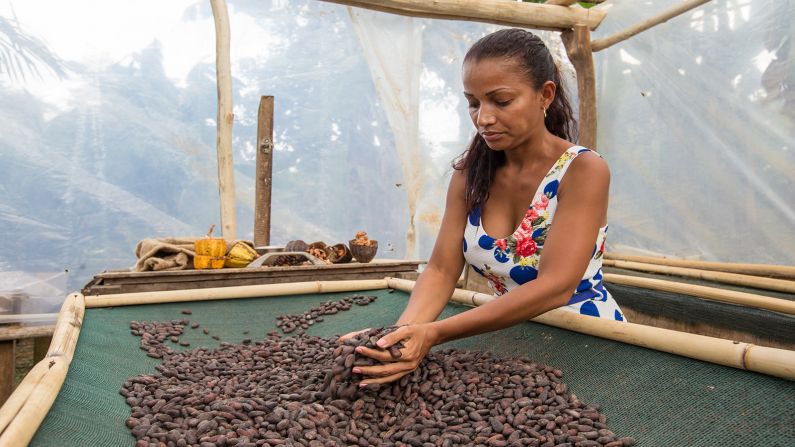 Cocoa goes back a long way in Costa Rica. Beans were originally used as a form of currency by native tribes in pre-Columbian times, and continued to be a form of money right up to the 1930s. Part of the Camino del Oro, Rancho Raices is a small-scale cocoa plantation that recently opened to tourists in the town of Canaza.