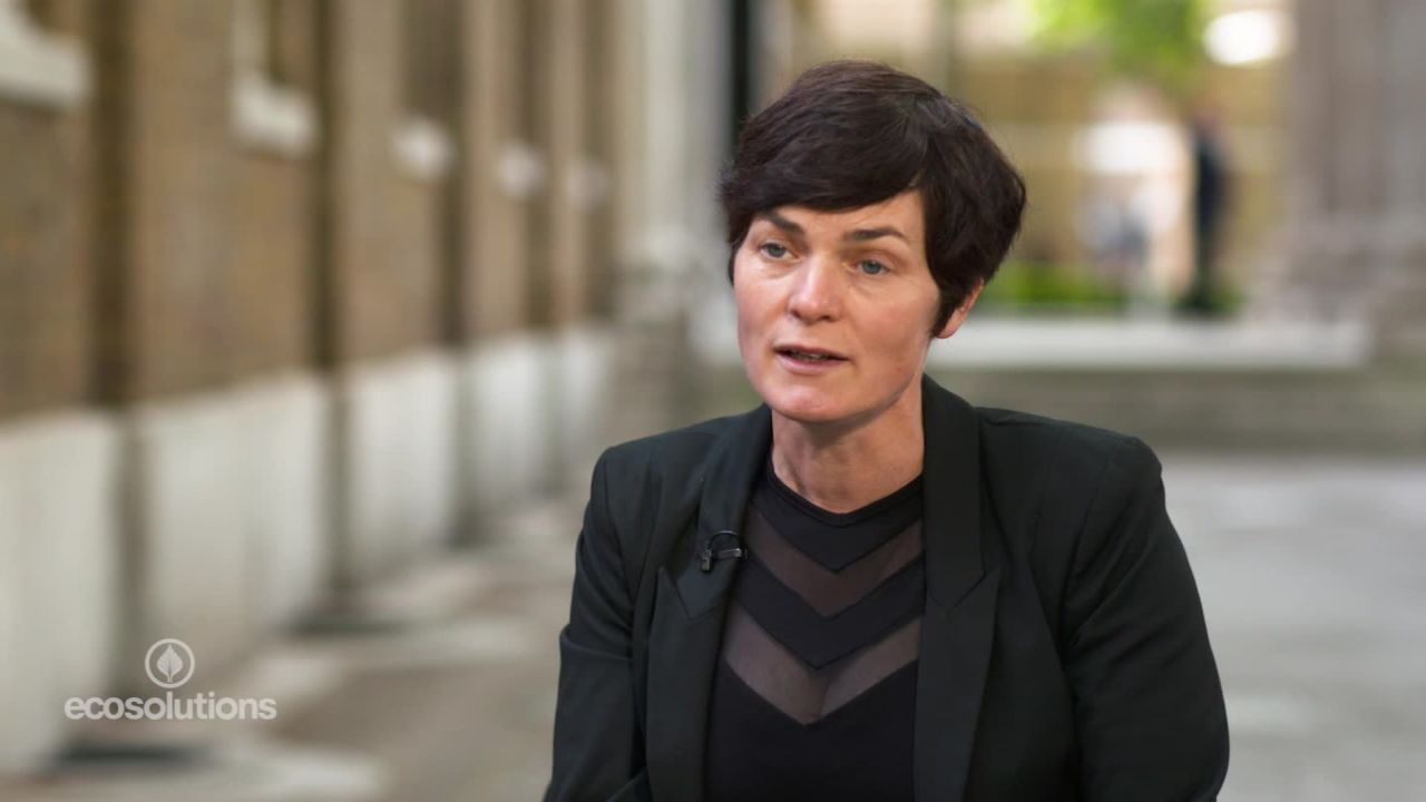 eco solutions macarthur_00000000.jpg