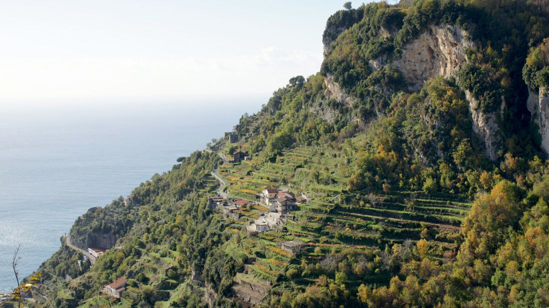 <strong>Italy's clifftop winery:</strong> Unlike the rolling, lush vineyards of Tuscany or Umbria, the winery's cantilevered vines cling to the limestone cliff face overlooking the Tyrrhenian Sea.