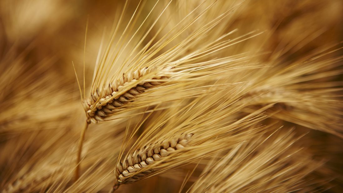 Barley is natural appetite suppressant containing a combination of dietary fibers that make it extra filling.