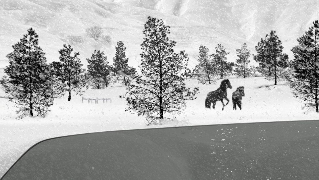 "24 Frames" animates photographs Kiarostami took over 40 years into 4.5-minute  vignettes.