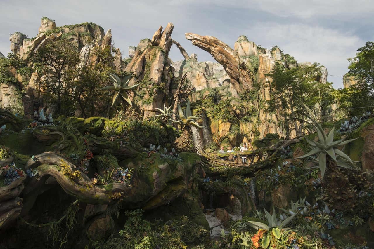 Pandora includes the Flight of Passage attraction, the family-friendly Na'vi River Journey, Pandora-themed food options and merchandise and more.  