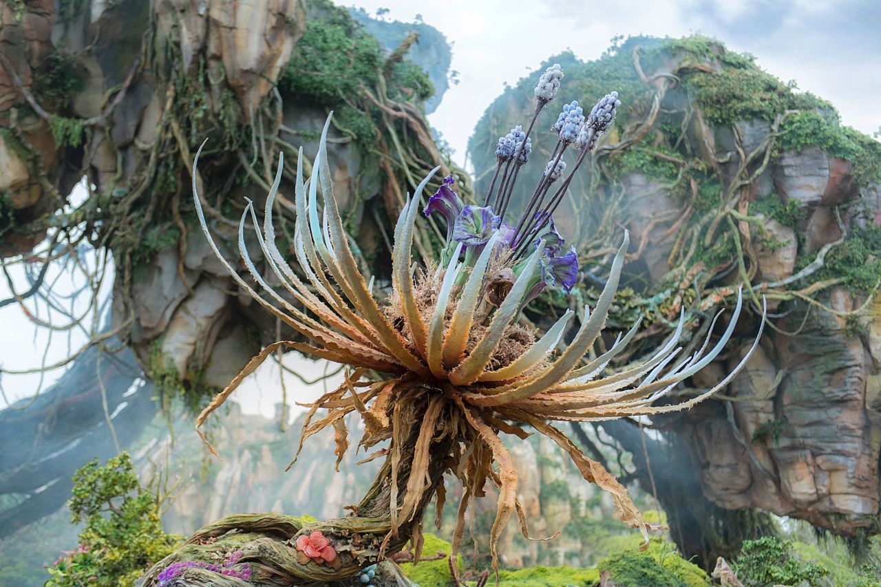 In Pandora's Valley of Mo'ara, visitors can hike among the floating mountains and glowing plant life -- and even play in a drum circle.