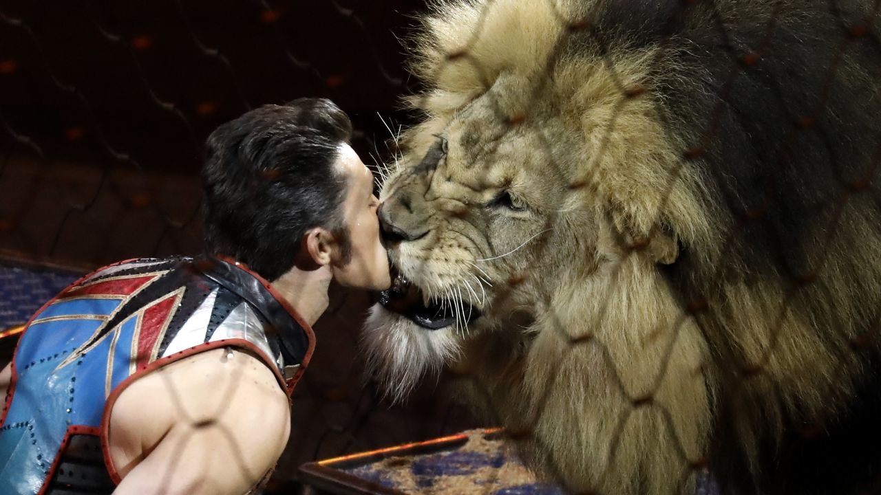 Animal trainer Alexander Lacey performs with Maasai the lion during the final Ringling Bros. circus performance on Sunday, May 21. The circus has been a piece of Americana for 146 years, but high operating costs and low ticket sales brought about its demise, ownership announced in January. <a href="http://www.cnn.com/interactive/2017/05/us/ringling-circus-cnnphotos/index.html" target="_blank">Meet the people behind the curtains</a>