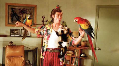 <strong>"Ace Ventura: Pet Detective":</strong> Jim Carrey stars as a rambunctious wildlife detective who tries to aid the search for the Miami Dolphins' missing mascot. <strong>(Hulu) </strong>
