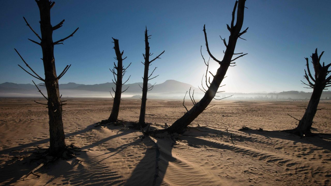 Bare sand and dried tree trunks stand on May 10 at the Theewaterskloof Dam.