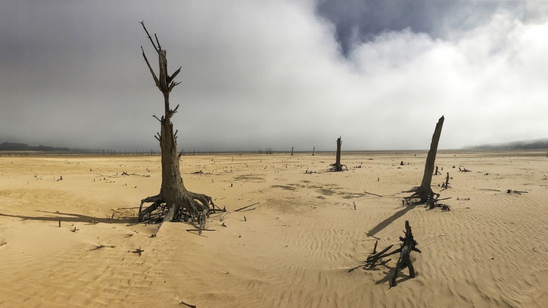 Sand and dry trees stand on April 16 at the Theewaterskloof Dam, where the water level has been extremely low.
