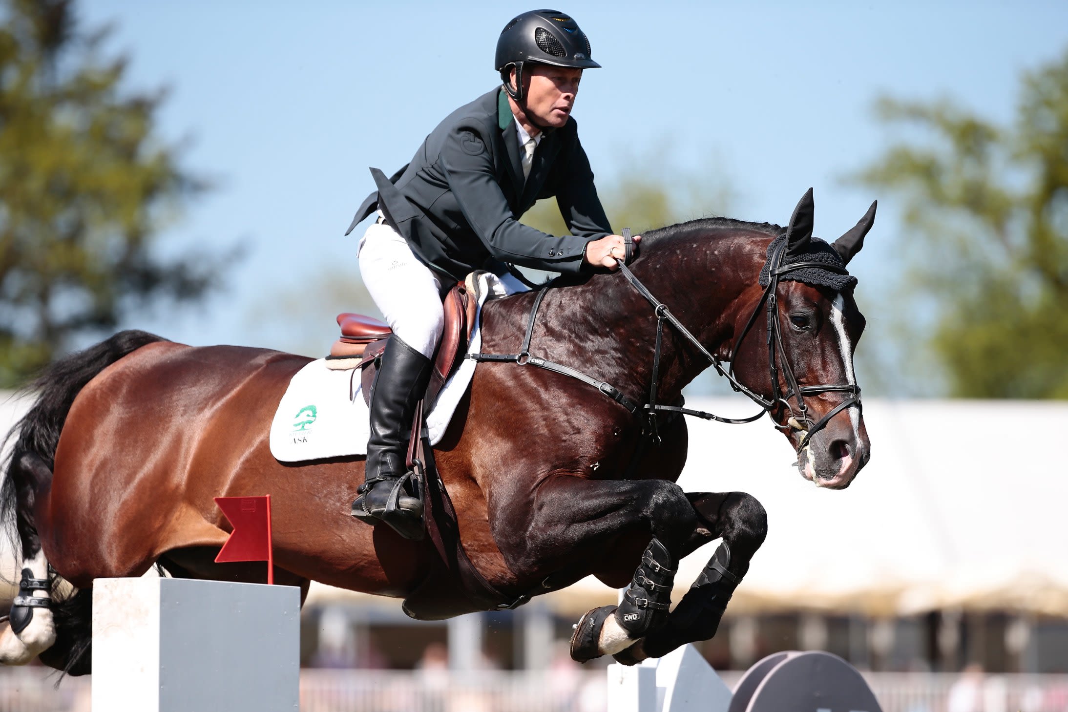 Rolf-Goran Bengtsson: Why Casall ASK is my horse of a lifetime