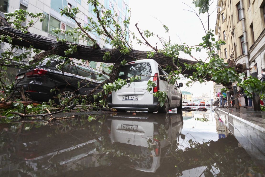 Thousands of trees were knocked down by the storm on May 29.