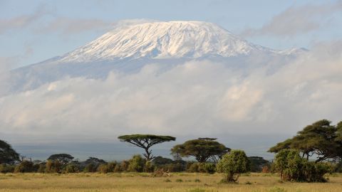 Fresh snow covered Mount Kilimanjaro seen at sunrise from Ambuseli game reserve in Kenya