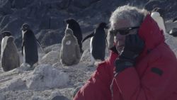 cnn parts unknown antarctica trailer_00001712.jpg