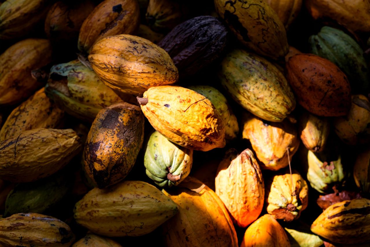 Chocolate is a huge global industry, but cocoa beans, which are used to make chocolate, are grown by some of the poorest people on the planet, in plantations that can hide the worst forms of child labor.