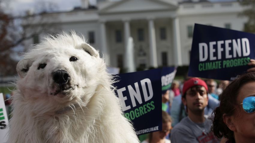 WASHINGTON, DC - MARCH 28:  An environmental activist wears a polar bear costume during a protest outside the White House March 28, 2017 in Washington, DC. Activists protest against President Trump's latest executive order which will roll back President Obama's rules regulating fossil fuel power plants and cutting greenhouse gas.  (Photo by Alex Wong/Getty Images)