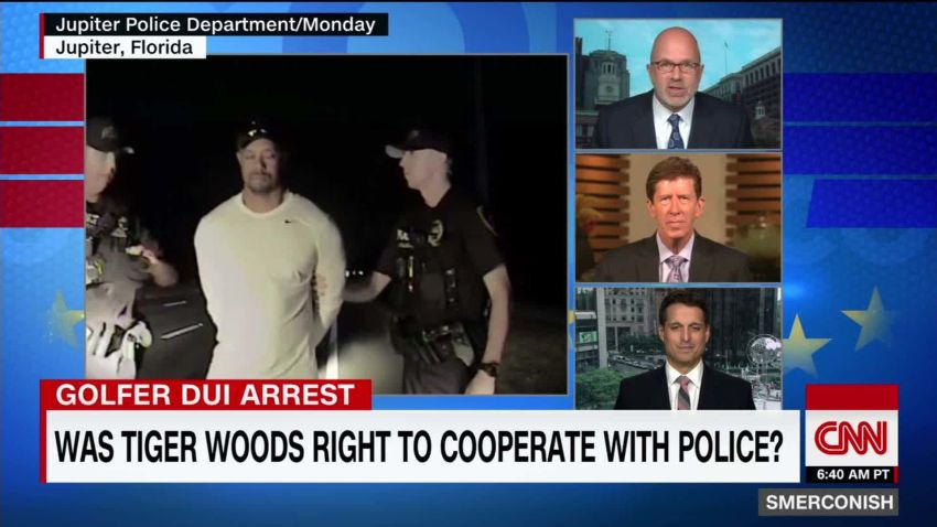 Did Tiger Woods bogey his DUI?_00000000.jpg