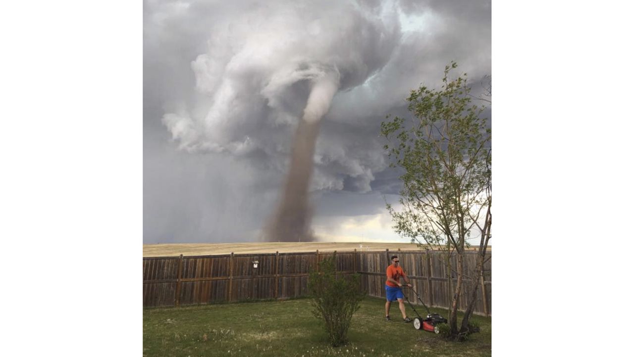 Cecilia Wessels snapped this photo of her husband Theunis mowing their yard. 