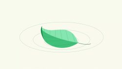 Colorscope_Green_single leaf-image